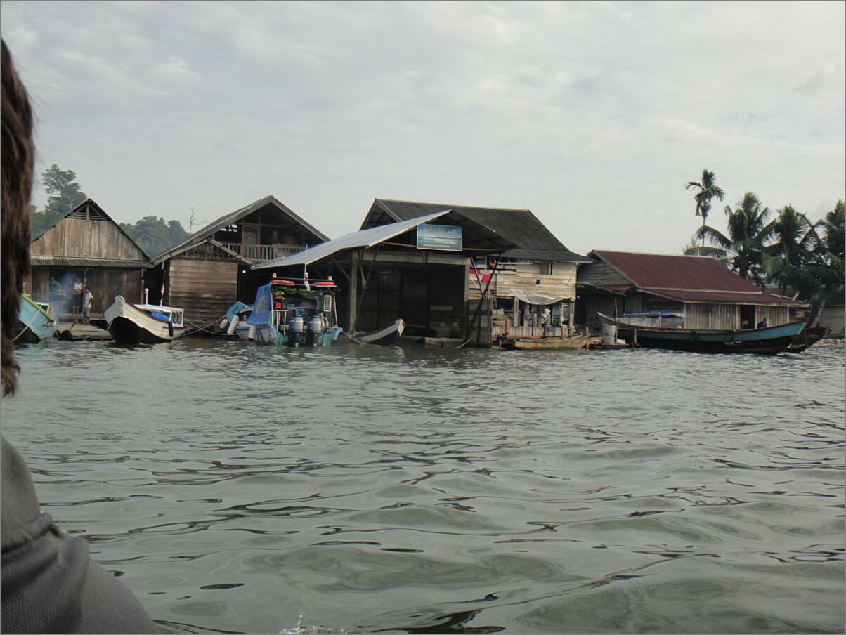 siberut_mentawai